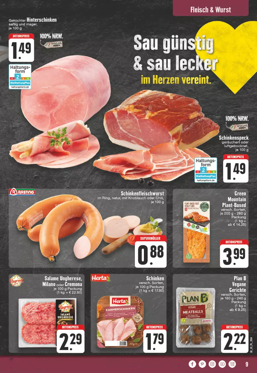 Aktueller Prospekt E Center - Angebote der Woche - von 19.06 bis 24.06.2023 - strona 9 - produkty: aktionspreis, chili, eis, ente, farmerschinken, fleisch, herta, hinterschinken, knoblauch, mit knoblauch, natur, reis, ring, saft, schinken, Ti, wurst