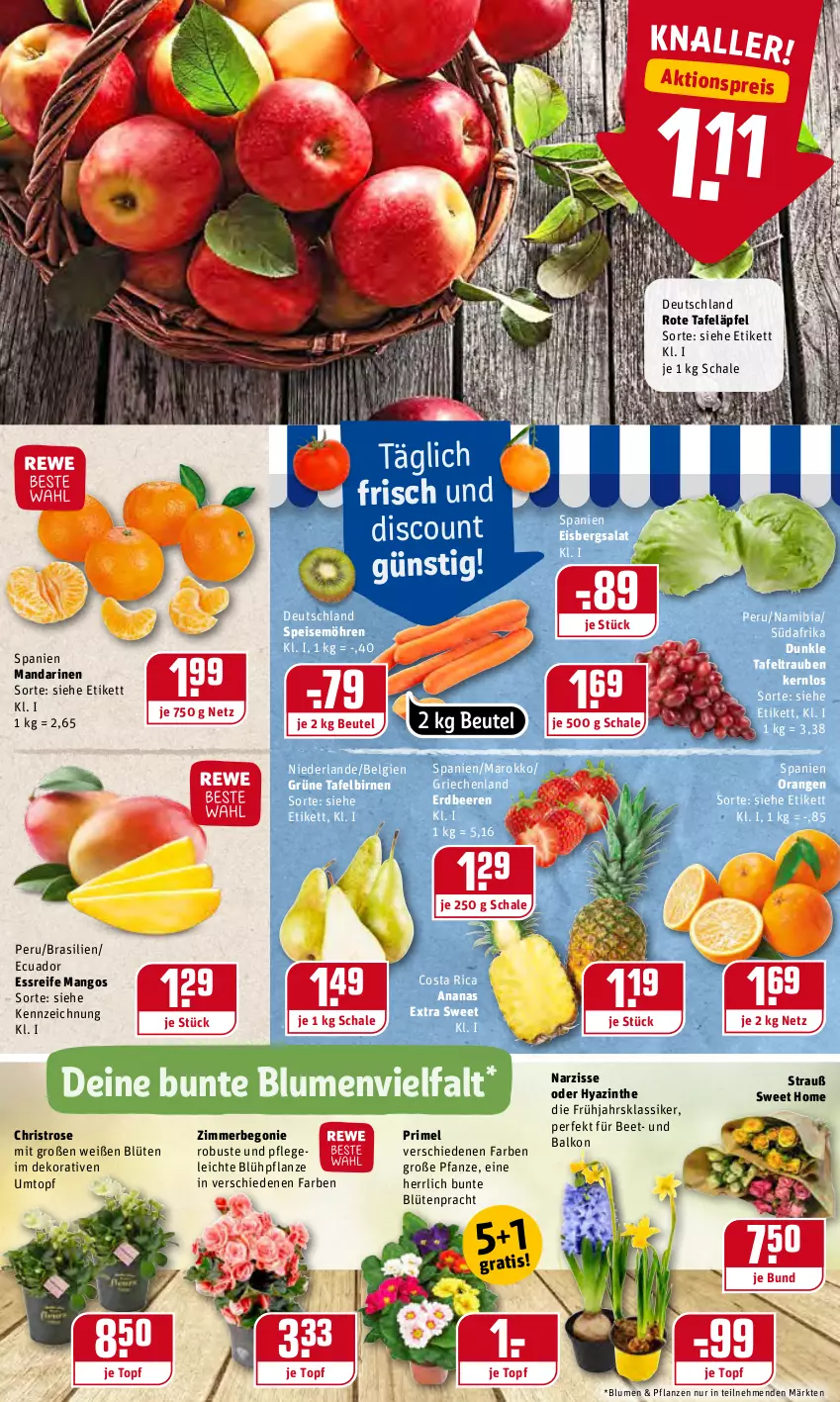 Aktueller Prospekt Rewe - Diese Woche im Angebot! - von 24.01 bis 29.01.2022 - strona 2 - produkty: aktionspreis, ananas, beere, beeren, Begonie, beutel, Birnen, blume, blumen, Blüte, discount, eis, eisbergsalat, erdbeere, erdbeeren, HP, LG, mandarine, mandarinen, mango, mangos, möhren, orange, orangen, pflanze, pflanzen, reis, rote tafeläpfel, salat, Schal, Schale, speisemöhren, tafeläpfel, tafelbirnen, tafeltrauben, Ti, topf, trauben