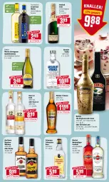 Gazetka promocyjna Rewe - Diese Woche im Angebot! - Gazetka - ważna od 29.01 do 29.01.2022 - strona 17 - produkty: Absolut Vodka, auer, Bad, baileys, bourbon, bourbon whiskey, cocktail, cola, fisch, flasche, gin, grand sud, henkel, henkell, henkell sekt, irish cream, jim beam, korn, martini, Metaxa, ouzo, ouzo 12, qualitätswein, qualitätsweine, rind, schwein, sekt, Ti, vodka, wein, weine, whiskey