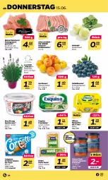 Gazetka promocyjna Netto - Woche 24 - Gazetka - ważna od 17.06 do 17.06.2023 - strona 24 - produkty: Alaska-Seelachs, aprikose, aprikosen, beere, beeren, birkel, classico, cornetto, creme, eis, exquisa, exquisa frischkäse, fisch, fleisch, Fleischerei, frischkäse, grill, grillkotelett, grillkoteletts, gulasch, hafer, heidelbeere, heidelbeeren, Käse, kohlrabi, kotelett, lachs, langnese, lavendel, margarine, pasta, pute, quark, Schere, schnitzel, Ti, topf