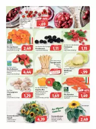 Gazetka promocyjna Feneberg - Prospekte - Gazetka - ważna od 11.06 do 11.06.2022 - strona 5 - produkty: aprikose, aprikosen, Bau, beere, beeren, beutel, bio, bio-karotten, blume, blumen, Blumenstrauß, brombeere, brombeeren, champignon, champignons, eis, elle, erdbeere, erdbeeren, himbeer, himbeere, himbeeren, karotten, kirsch, kirsche, kirschen, Kraut, LG, paprika, paprika mix, reis, Schal, Schale, sonnenblume, sonnenblumen, spargel, Ti, topf, übertopf