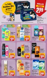 Gazetka promocyjna Rewe - Prospekte - Gazetka - ważna od 26.06 do 26.06.2022 - strona 20 - produkty: Air Wick, decke, deo, deo roll-on, deospray, Discreet, duschgel, eis, elnett, felix, garnier, gewinnspiel, haarspray, honig, katzennahrung, lenor, lenor weichspüler, mac, Meister, meister proper, oder deospray, orchidee, pril, reiniger, reis, roll-on, Roller, shampoo, Spiele, Sport, spülung, Ti, Wahre Schätze, weichspüler, WICK