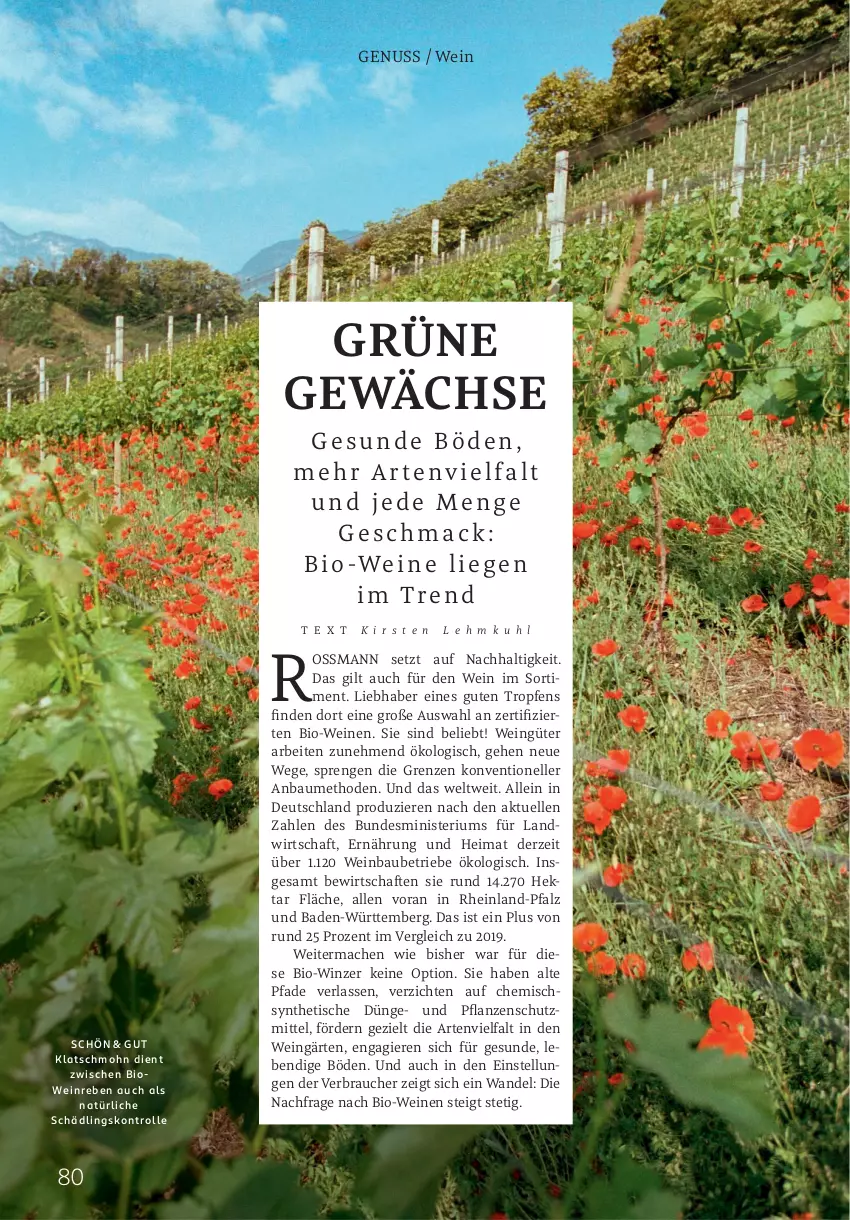 Aktueller Prospekt Rossmann - Prospekte - von 01.10.2025 bis 31.03.2026 - strona 80 - produkty: Bad, Bau, bio, Bio-Wein, elle, mac, nuss, pflanze, pflanzen, Rauch, Ti, tisch, wein, weine