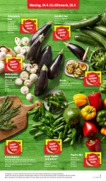 Gazetka promocyjna Lidl - Aktionsprospekt - Gazetka - ważna od 29.04 do 29.04.2023 - strona 7 - produkty: Abtei, aubergine, auberginen, basilikum, champignon, champignons, cola, discount, eis, gin, grill, Koriander, kräuter, minze, paprika, petersilie, reis, Ria, rosmarin, rucola, schnittlauch, Ti, zucchini