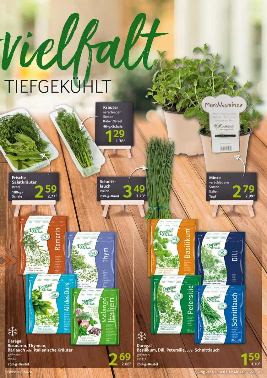 Aktueller Prospekt Selgros - Vorschau:
            Gastro - von 10.02 bis 23.02.2022 - strona 21 - produkty: basilikum, beutel, kräuter, mac, minze, petersilie, regal, rosmarin, salat, Salatkräuter, Schal, Schale, schnittlauch, Ti, tisch