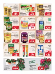 Gazetka promocyjna Feneberg - Prospekte - Gazetka - ważna od 24.12 do 24.12.2022 - strona 11 - produkty: Alpenveilchen, apfel, auer, beutel, bio, develey, discount, eis, elle, erde, gurke, gurken, hengstenberg, knorr, Kraut, LG, linsen, maggi, mais, miracel, miracel whip, nudel, nudeln, pasta, reis, rotkohl, sauce, saucen, Sauerkraut, senf, Soße, suppe, suppen, teller, Ti, topf, wein, Weinsauerkraut