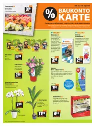 Gazetka promocyjna Vmarkt - V-Baumarkt - Gazetka - ważna od 20.07 do 20.07.2022 - strona 2 - produkty: aust, balkonpflanzen, banane, Bau, Begonia, Begonie, bio, blume, blumen, blumenerde, Blüte, Cif, cocos, dünger, eis, elle, ente, erde, flüssigdünger, Hobby, Kinder, kokos, lack, Mett, orchidee, pflanze, pflanzen, phalaenopsis, Rauch, reis, rwe, Schmetterling, schmetterlingsorchidee, Stier, teller, Ti, Tiere, topf, übertopf