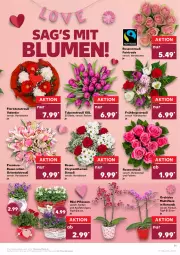 Gazetka promocyjna Kaufland - Gazetka - ważna od 16.02 do 16.02.2022 - strona 11 - produkty: angebot, angebote, chrysanthemen, orchidee, pflanze, pflanzen, Ria, rosen, Rosenstrauß, Ti, topf, topf ø 12 cm