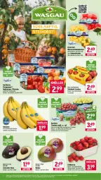 Gazetka promocyjna Wasgau - Gazetka - ważna od 27.06 do 27.06.2026 - strona 8 - produkty: ananas, angebot, aprikose, aprikosen, auer, avocado, avocados, banane, bananen, Becher, beere, beeren, beutel, eis, erdbeere, erdbeeren, mango, melone, melonen, natur, Nektar, nektarinen, obst, paraguayos, pfirsich, pfirsiche, reis, saft, Schal, Schale, tafeläpfel, Ti, trauben, Tüte, wasser, wassermelone, wassermelonen, Yo