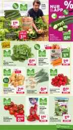 Gazetka promocyjna Wasgau - Gazetka - ważna od 27.06 do 27.06.2026 - strona 9 - produkty: Bau, beutel, bio, bioland, eis, feldsalat, florette, Frühkartoffeln, Garten, gurke, gurken, kartoffel, kartoffeln, kopfsalat, Lauchzwiebel, lauchzwiebeln, möhren, Müller, natur, natura, papier, Papiertüte, paprika, paprika rot, Radicchio, radieschen, Rauch, reis, salat, Schal, Schale, speisefrühkartoffeln, speisemöhren, Spitzpaprika, strauchtomaten, tee, tomate, tomaten, Tüte, wein, zucchini, zwiebel, zwiebeln