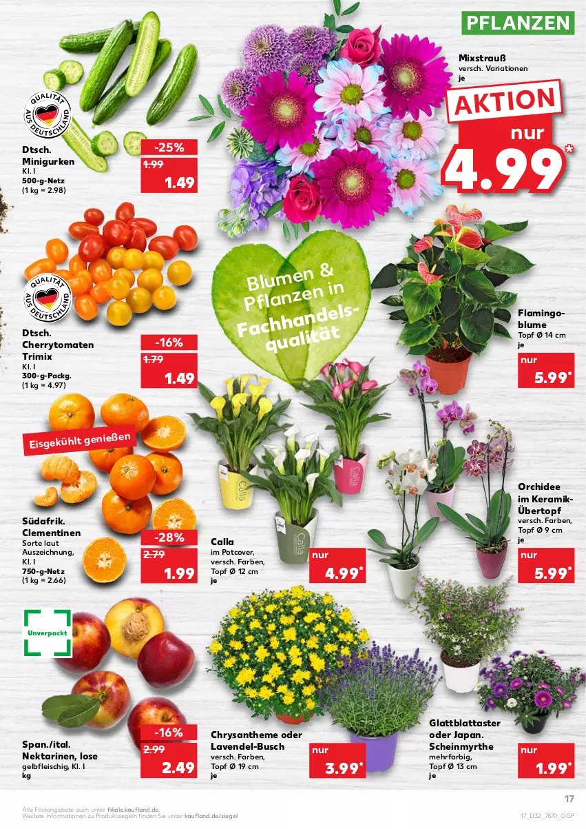 Aktueller Prospekt Kaufland - von 12.08 bis 18.08.2021 - strona 17