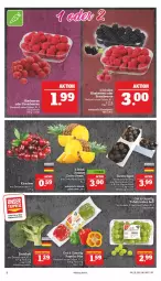 Gazetka promocyjna Marktkauf - Prospekt - Gazetka - ważna od 30.07 do 30.07.2022 - strona 6 - produkty: ananas, beere, beeren, brombeere, brombeeren, himbeer, himbeere, himbeeren, korb, paprika, paprika mix, regal, Schal, Schale, tafeltrauben, Ti, trauben, Vase