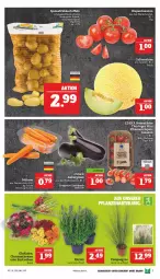 Gazetka promocyjna Marktkauf - Prospekt - Gazetka - ważna od 30.07 do 30.07.2022 - strona 7 - produkty: deka, galiamelone, melone, pflaume, pflaumen, rispentomaten, Ti, tomate, tomaten, uhr