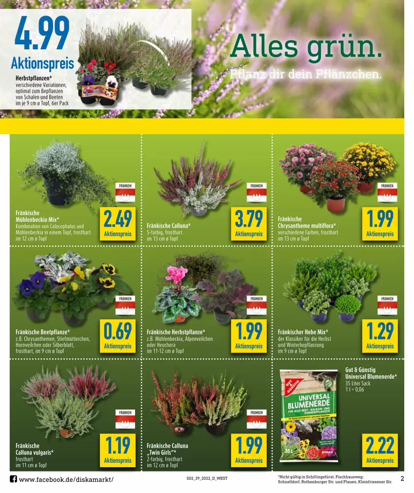 Aktueller Prospekt Diska - Prospekte - von 26.09 bis 01.10.2022 - strona 2 - produkty: aktionspreis, blume, blumen, blumenerde, burger, eis, erde, fisch, Heu, LG, pflanze, pflanzen, reis, Ria, sac, Schal, Schale, Ti, topf