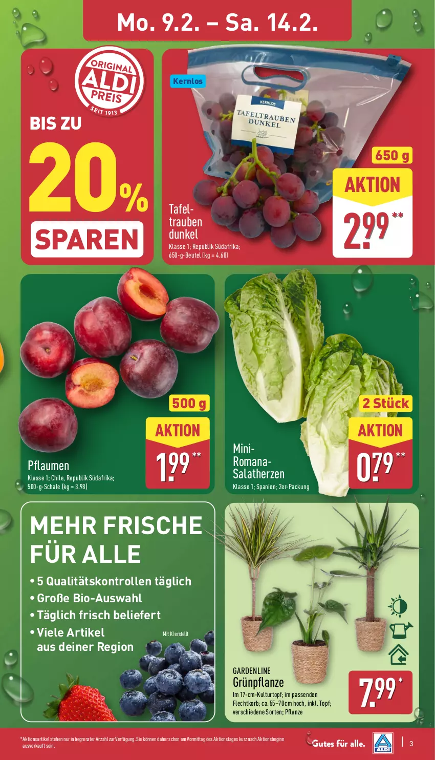 Aktueller Prospekt Aldi Nord - Von Montag - von 09.02 bis 14.02.2026 - strona 3 - produkty: beutel, bio, Brei, gin, korb, kulturtopf, pflanze, pflaume, pflaumen, Romanasalat, salat, salatherzen, Schal, Schale, tafeltrauben, Ti, topf, trauben, ZTE