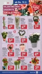 Gazetka promocyjna Aldi Nord - Von Montag - Gazetka - ważna od 14.02 do 14.02.2026 - strona 30 - produkty: aldi, angebot, angebote, auer, Bau, Bauer, blume, blumen, Blüte, Brei, eis, Gerber, HP, Kalanchoe, kulturtopf, pflanze, phalaenopsis, reis, Ria, rosen, Schal, Schale, Tasche, Ti, topf, trolli, Tüte, übertopf