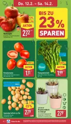 Gazetka promocyjna Aldi Nord - Von Montag - Gazetka - ważna od 14.02 do 14.02.2026 - strona 31 - produkty: beutel, blume, blumen, Blüte, braten, Brei, brokkoli, eis, fleisch, frucht, fruchtfleisch, gin, ideal zum braten, kartoffel, kartoffeln, kulturtopf, mac, Romatomaten, Schal, Schale, speisekartoffeln, Ti, tomate, tomaten, topf, übertopf, ZTE, zwiebel, zwiebeln