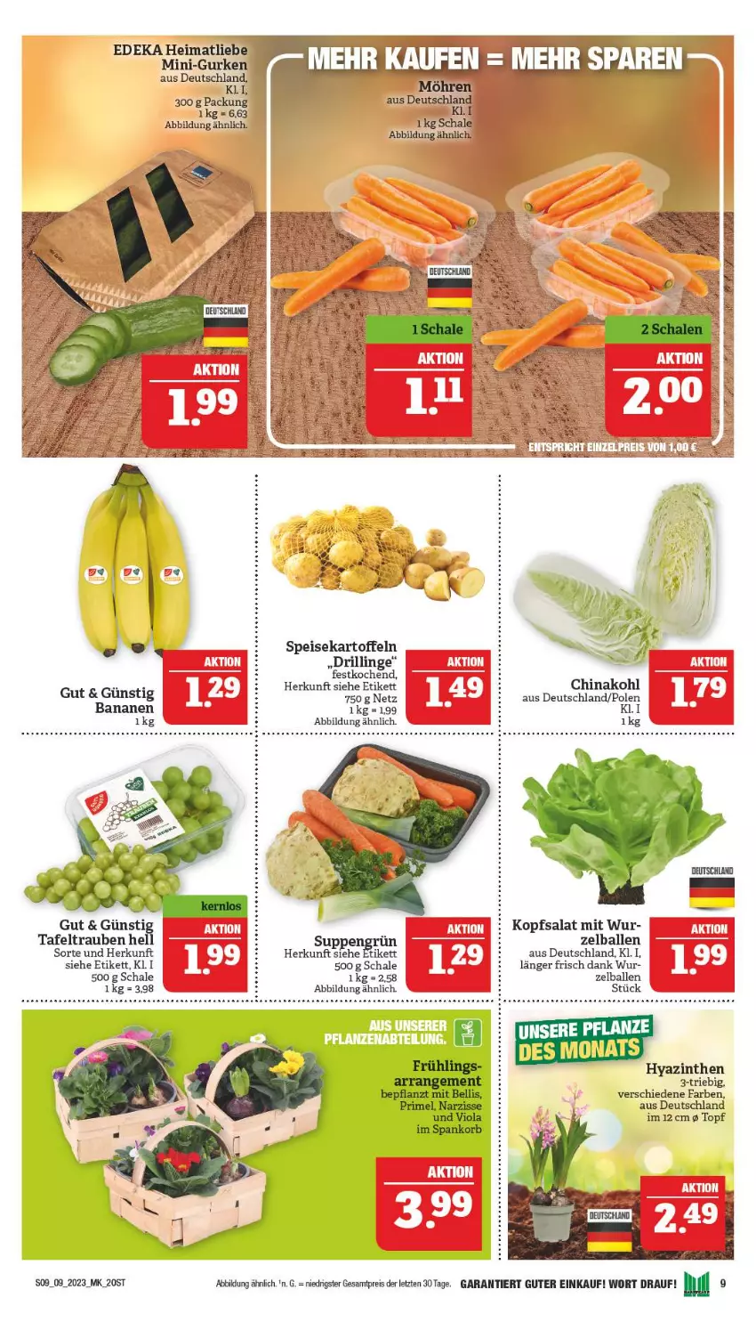 Aktueller Prospekt Marktkauf - Prospekt - von 26.02 bis 04.03.2023 - strona 9 - produkty: ball, deka, eis, gurke, gurken, kartoffel, kartoffeln, kopfsalat, mini-gurken, pflanze, reis, salat, sana, Schal, Schale, speisekartoffeln, tafeltrauben, Ti, topf, trauben, uhr, ZTE