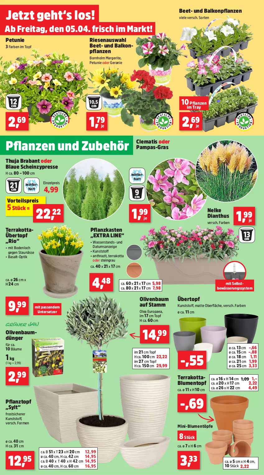 Aktueller Prospekt Thomas Philipps - von 02.04 bis 06.04.2024 - strona 2 - produkty: balkonpflanzen, Bau, blume, blumen, dünger, eis, geranie, heinz, olive, oliven, petunie, pflanze, pflanzen, Pflanzkasten, Pflanztopf, reis, Ti, topf, übertopf, Untersetzer, vorteilspreis, wasser