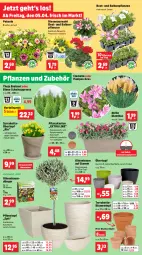 Gazetka promocyjna Thomas Philipps - Gazetka - ważna od 06.04 do 06.04.2024 - strona 2 - produkty: balkonpflanzen, Bau, blume, blumen, dünger, eis, geranie, heinz, olive, oliven, petunie, pflanze, pflanzen, Pflanzkasten, Pflanztopf, reis, Ti, topf, übertopf, Untersetzer, vorteilspreis, wasser