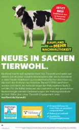 Gazetka promocyjna Kaufland - Prospekt - Gazetka - ważna od 13.09 do 13.09.2023 - strona 18 - produkty: angebot, eis, fleisch, Heu, Kalbfleisch, lebensmittel, mac, sac, Ti, ZTE