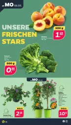 Gazetka promocyjna Netto - Woche 19 - Gazetka - ważna od 11.05 do 11.05.2024 - strona 2 - produkty: broccoli, pfirsich, pfirsiche