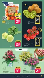 Gazetka promocyjna Netto - Woche 19 - Gazetka - ważna od 11.05 do 11.05.2024 - strona 3 - produkty: auer, Bau, Bauer, cocktail, eis, kiwi, kohlrabi, orchidee, reis, rispentomaten, sac, tomate, tomaten