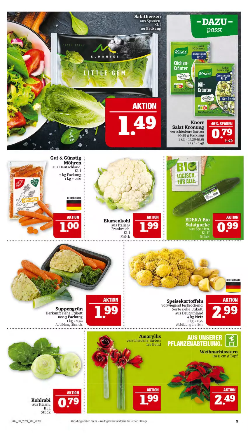 Aktueller Prospekt Marktkauf - Prospekt - von 08.12 bis 14.12.2024 - strona 9 - produkty: blume, blumen, blumenkohl, eis, gurke, kartoffel, kartoffeln, kohlrabi, möhren, reis, salat, Salatgurke, salatherzen, speisekartoffeln, suppe, suppen, Ti, topf, Weihnachtsstern, ZTE