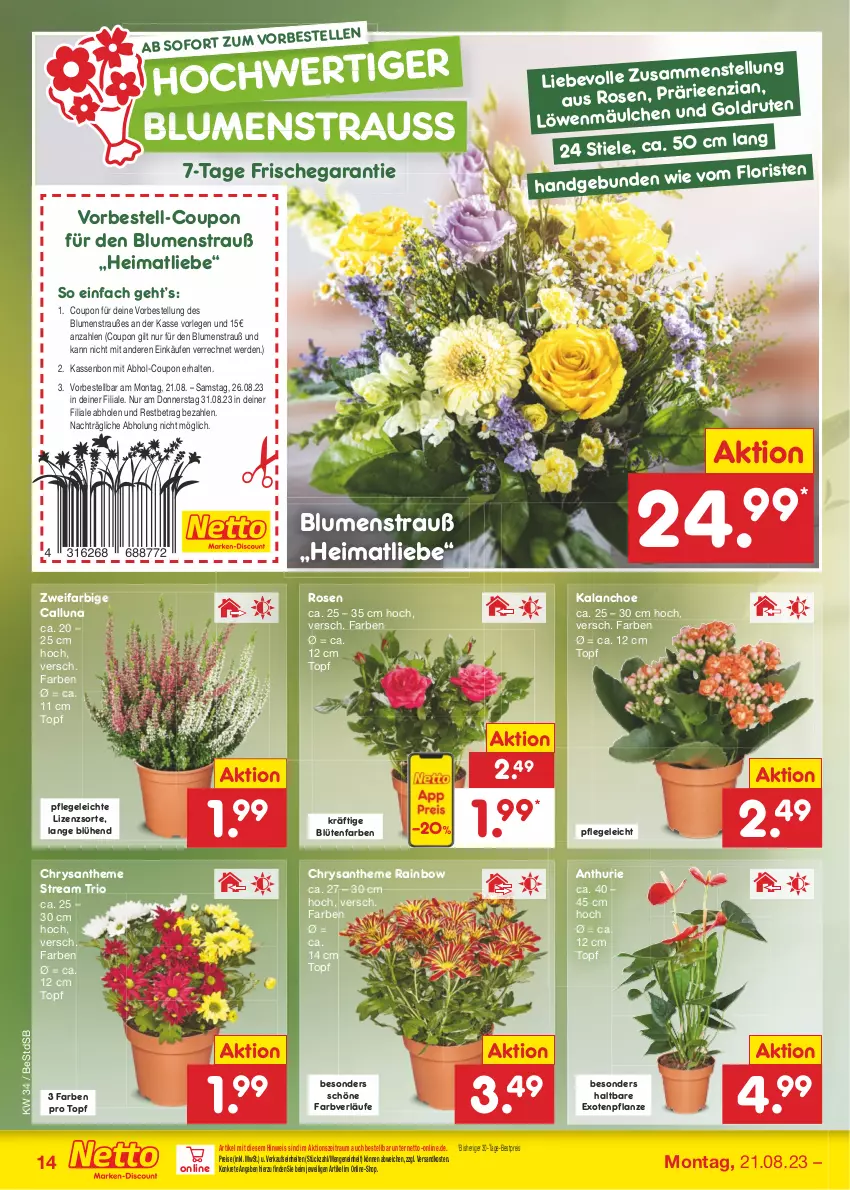 Aktueller Prospekt Netto Marken-Discount - Filial-Angebote - von 21.08 bis 26.08.2023 - strona 14 - produkty: bestpreis, blume, blumen, Blumenstrauß, Blüte, coupon, eis, elle, erde, Kalanchoe, ndk, pflanze, reis, rosen, Ti, topf