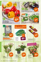 Gazetka promocyjna Tegut - Angebote der Woche - Gazetka - ważna od 05.03 do 05.03.2022 - strona 6 - produkty: angebot, angebote, aubergine, Bau, bio, Bio-Paprika, bioland, blume, blumen, dekoration, eis, feldsalat, gin, hortensie, hortensien, kartoffel, kartoffeln, natur, naturland, papier, Papiertüte, paprika, paprika rot, pflanze, pflanzen, Rauch, reis, salat, Schal, Schale, speisekartoffeln, strauchtomaten, Ti, tomate, tomaten, topf, Tüte, zucchini