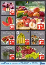 Gazetka promocyjna Edeka - Prospekte - Gazetka - ważna od 16.08 do 16.08.2025 - strona 5 - produkty: banane, bananen, chrysanthemen, coupon, coupons, eis, Falafel, früchte, lavendel, melone, melonen, mini wassermelonen, Nektar, nektarinen, nektarinen oder, oder pfirsiche, payback, pfirsich, pfirsiche, plattpfirsiche, reis, rosen, tafeläpfel, tee, Ti, wasser, wassermelone, wassermelonen, ZTE
