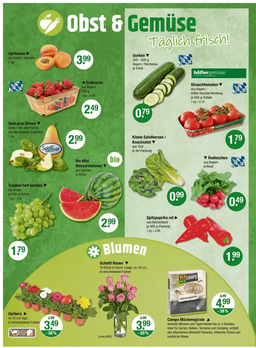 Aktueller Prospekt Vmarkt - Prospekte - von 30.05 bis 04.06.2025 - strona 4 - produkty: gurke, gurken, leine, paprika, paprika rot, salat, salatherzen, Schal, Schale, Spitzpaprika, Ti