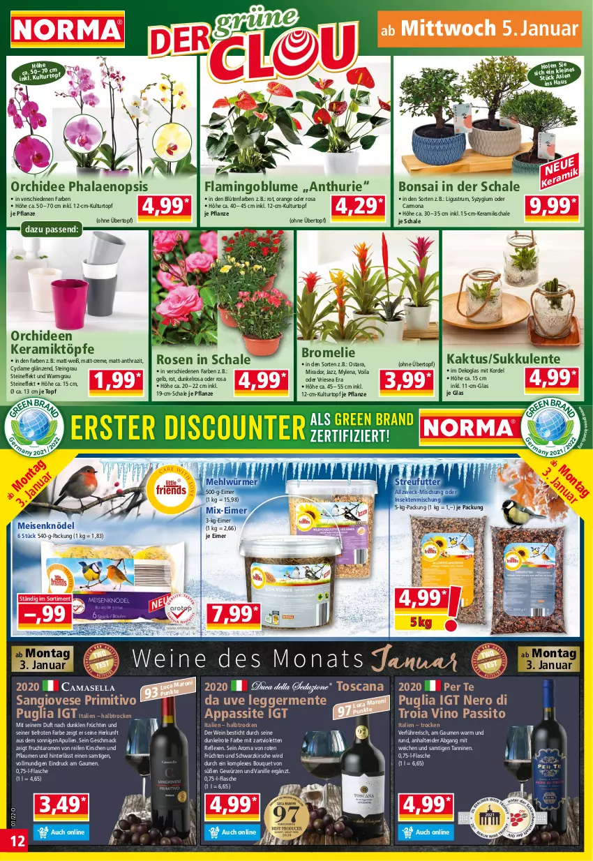 Aktueller Prospekt Norma - Norma - von 03.01 bis 10.01.2021 - strona 12 - produkty: blume, Blüte, Bromelie, creme, Egger, eimer, eis, ente, flasche, frucht, früchte, früchten, Germ, gewürz, kirsch, kirsche, kirschen, Knödel, kulturtopf, mac, mehl, Meisenknödel, nero, orange, orchidee, orchideen, pflanze, pflaume, pflaumen, phalaenopsis, primitivo, reifen, rosen, rum, Schal, Schale, sekt, Streufutter, Sukkulente, tender, Ti, topf, übertopf, vanille, weck, wein