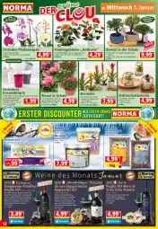 Gazetka promocyjna Norma - Norma - Gazetka - ważna od 10.01 do 10.01.2021 - strona 12 - produkty: blume, Blüte, Bromelie, creme, Egger, eimer, eis, ente, flasche, frucht, früchte, früchten, Germ, gewürz, kirsch, kirsche, kirschen, Knödel, kulturtopf, mac, mehl, Meisenknödel, nero, orange, orchidee, orchideen, pflanze, pflaume, pflaumen, phalaenopsis, primitivo, reifen, rosen, rum, Schal, Schale, sekt, Streufutter, Sukkulente, tender, Ti, topf, übertopf, vanille, weck, wein