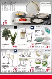 Gazetka promocyjna Selgros - Non Food - Gazetka - ważna od 07.05 do 07.05.2025 - strona 8 - produkty: ACC, Armband, Becher, chia, cin, cocktail, cocktails, dessert, Dessertteller, elle, gin, Gläser, Kunstpflanze, latte, latte macchiato, leonardo, LG, mac, macchiato, Mett, mikrowelle, pflanze, pflanzen, Schal, Schale, sekt, spülmaschinen, tee, teller, Ti, tonic, topf, venus