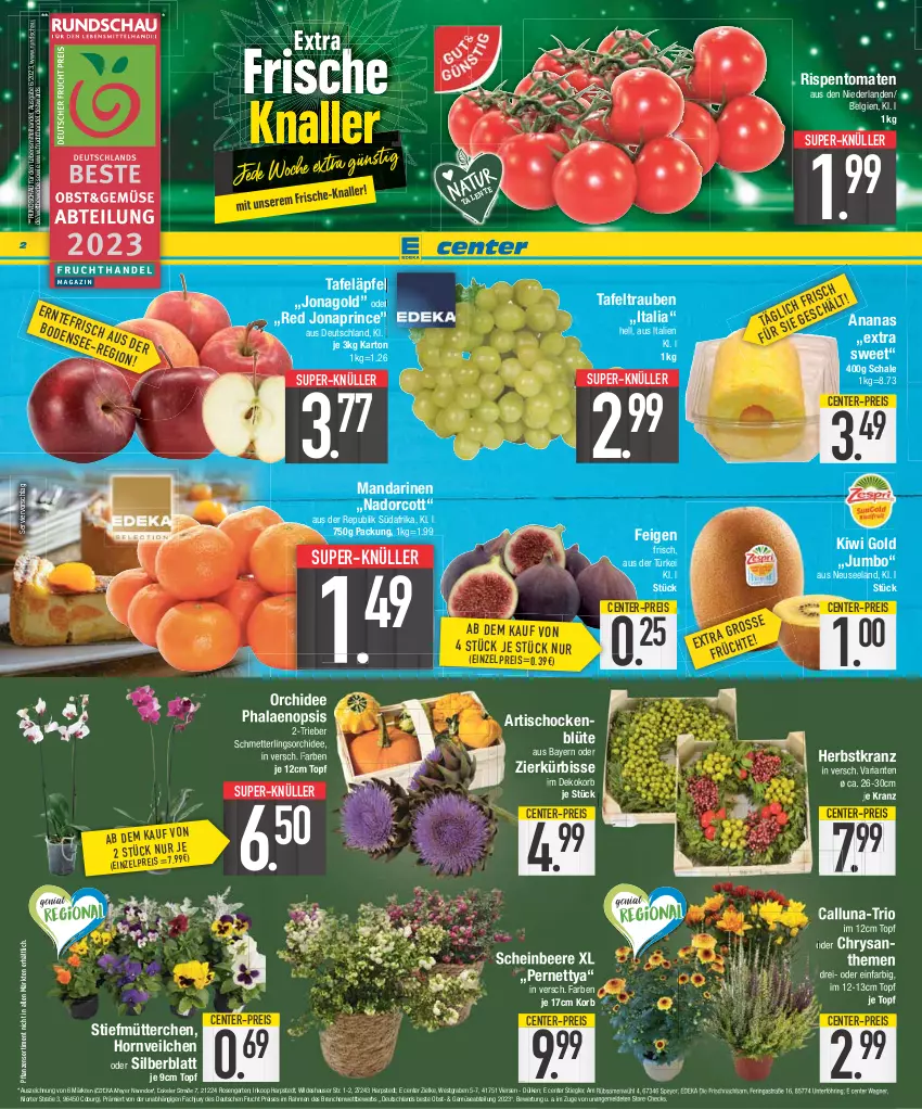 Aktueller Prospekt E Center - Angebote der Woche - von 25.09 bis 30.09.2023 - strona 2 - produkty: Abtei, ananas, Artischocken, Astra, beere, Blüte, chrysanthemen, deka, eis, Elan, ente, Feigen, frucht, Garten, jumbo, kiwi, Kiwi Gold, korb, Kranz, Kürbis, lebensmittel, LG, mandarine, mandarinen, Mett, obst, orchidee, pflanze, pflanzen, phalaenopsis, reis, Ria, ring, rispentomaten, rosen, Schal, Schale, Schmetterling, schmetterlingsorchidee, speyer, Stiegl, super-knüller, tafeläpfel, tafeltrauben, Ti, tisch, tomate, tomaten, topf, trauben, wagner, Wild