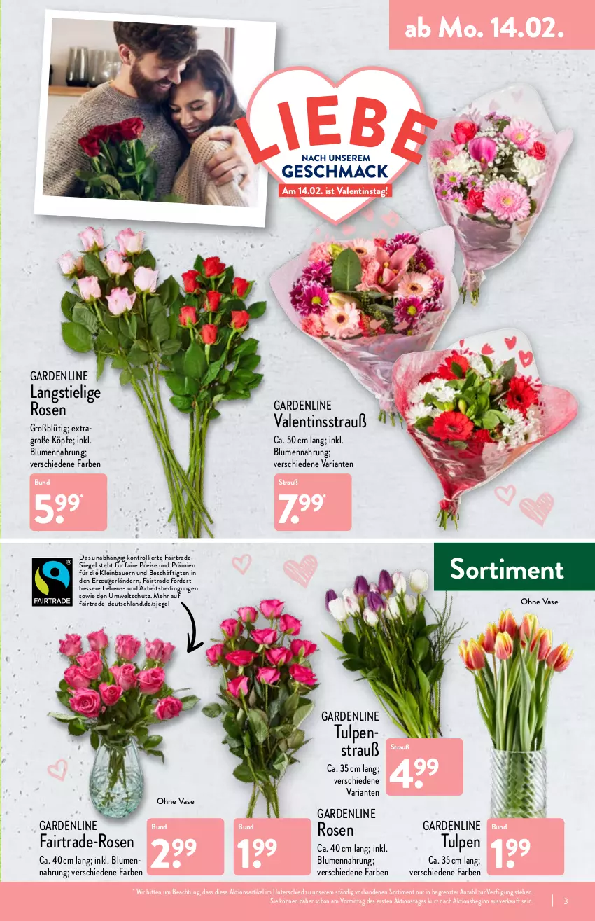 Aktueller Prospekt Aldi Nord - Aldi-Aktuell - von 14.02 bis 19.02.2022 - strona 3 - produkty: auer, Bau, Bauer, blume, blumen, eis, gin, reis, Ria, rosen, Ti, trolli, Vase, ZTE