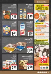 Gazetka promocyjna E Center - Angebote der Woche - Gazetka - ważna od 02.09 do 02.09.2023 - strona 15 - produkty: aktionspreis, angebot, arla, Becher, beere, beko, Bose, braten, butter, culinesse, drink, eis, ente, erdbeere, ferrero, flasche, joghur, joghurt, joghurt mit der ecke, Käse, Kefir, langnese, magnum, Magnum Mini, milram, Müller, rama, Rama Culinesse, Reibekäse, reis, Schleich, tee, Ti, Yo, YouCook, ZTE