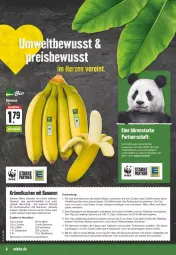 Gazetka promocyjna E Center - Angebote der Woche - Gazetka - ważna od 02.09 do 02.09.2023 - strona 4 - produkty: banane, bananen, bier, Biere, Brei, butter, decke, deka, dessert, eier, eis, kakao, kleid, kuchen, lebensmittel, leine, mac, mehl, messer, milch, papier, quark, regal, reis, rezept, ring, Rührschüssel, saft, sahne, schüssel, Springform, Ti, tisch, torte, zucker