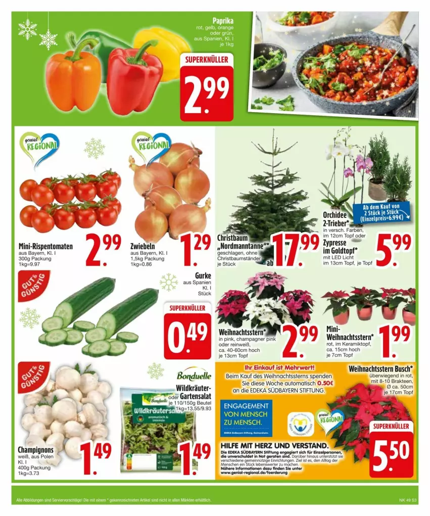 Aktueller Prospekt Edeka - Prospekte - von 02.12 bis 09.12.2024 - strona 5 - produkty: auto, Bau, beutel, bonduelle, champagne, champagner, champignon, champignons, deka, elle, erde, Garten, gurke, kräuter, mac, mini-rispentomaten, rispentomaten, rwe, salat, tee, Ti, tisch, tomate, tomaten, topf, Weihnachtsstern, Wild, zwiebel, zwiebeln