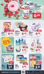 Gazetka promocyjna Combi - Prospekte - Gazetka - ważna od 17.02 do 17.02.2024 - strona 9 - produkty: auer, Bau, Bauer, Becher, beutel, butter, buttermilch, eis, flasche, frucht, fruchtjoghurt, Griechischer Joghurt, Grießpudding, halbfettmargarine, joghur, joghurt, landliebe, lätta, margarine, meggle, milch, milram, Müller, porridge, pudding, reine buttermilch, reis, sahne, steinhaus, Streichzart, Ti, torte, tortelloni, ZTE