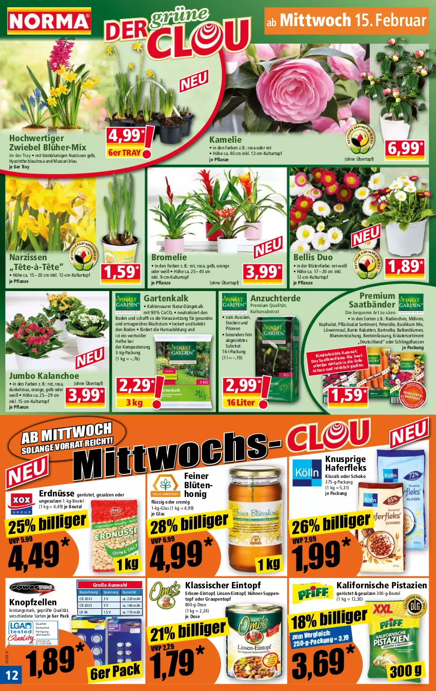 Aktueller Prospekt Norma - Norma - von 13.02 bis 20.02.2023 - strona 12 - produkty: basilikum, beutel, blume, blumen, Blüte, blütenhonig, Bromelie, eintopf, eis, elle, erbsen, erde, erdnüsse, Garten, hafer, haferfleks, honig, hühner, jumbo, Kalanchoe, Kinder, kopfsalat, kräuter, kulturtopf, linsen, linsen-eintopf, löwenmaul, möhren, Narzissen, natur, orange, petersilie, pflanze, pflanzen, pistazien, radieschen, salat, salz, schoko, Stier, suppe, suppen, Ti, topf, übertopf, usb, zwiebel