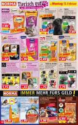 Gazetka promocyjna Norma - Norma - Gazetka - ważna od 20.02 do 20.02.2023 - strona 10 - produkty: anzünder, beutel, Calcium, Donut, donuts, elle, ente, erdnuss, filet, fisch, Geflügel, grill, grillanzünder, Holz, Kamin, Kaminofen, karotten, Käse, katzennahrung, kokos, kokosnuss, lachs, leberwurst, nudel, nudeln, nuss, Ofen, portionsbeutel, reifen, rind, rinder, sauce, Schal, Schale, snack, snacks, Spezi, steak, Tasche, taschen, Ti, truthahn, Wild, wolle, wurst