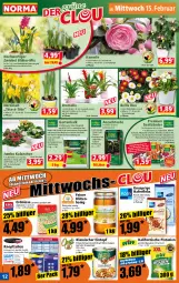 Gazetka promocyjna Norma - Norma - Gazetka - ważna od 20.02 do 20.02.2023 - strona 12 - produkty: basilikum, beutel, blume, blumen, Blüte, blütenhonig, Bromelie, eintopf, eis, elle, erbsen, erde, erdnüsse, Garten, hafer, haferfleks, honig, hühner, jumbo, Kalanchoe, Kinder, kopfsalat, kräuter, kulturtopf, linsen, linsen-eintopf, löwenmaul, möhren, Narzissen, natur, orange, petersilie, pflanze, pflanzen, pistazien, radieschen, salat, salz, schoko, Stier, suppe, suppen, Ti, topf, übertopf, usb, zwiebel