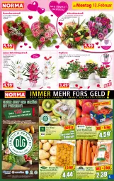 Gazetka promocyjna Norma - Norma - Gazetka - ważna od 20.02 do 20.02.2023 - strona 5 - produkty: auer, Bau, Bauer, beutel, bio, Blüte, bürste, Datteln, eis, erde, fleisch, frucht, fruchtfleisch, kartoffel, kartoffeln, kiwi, krone, kulturtopf, LG, möhren, obst, Obst und Gemüse, orange, pflanze, reis, Ria, rosen, sac, saft, Schal, Schale, speisekartoffeln, speisemöhren, Ti, tiefpreis, tisch, topf, Tüte, übertopf, und gemüse