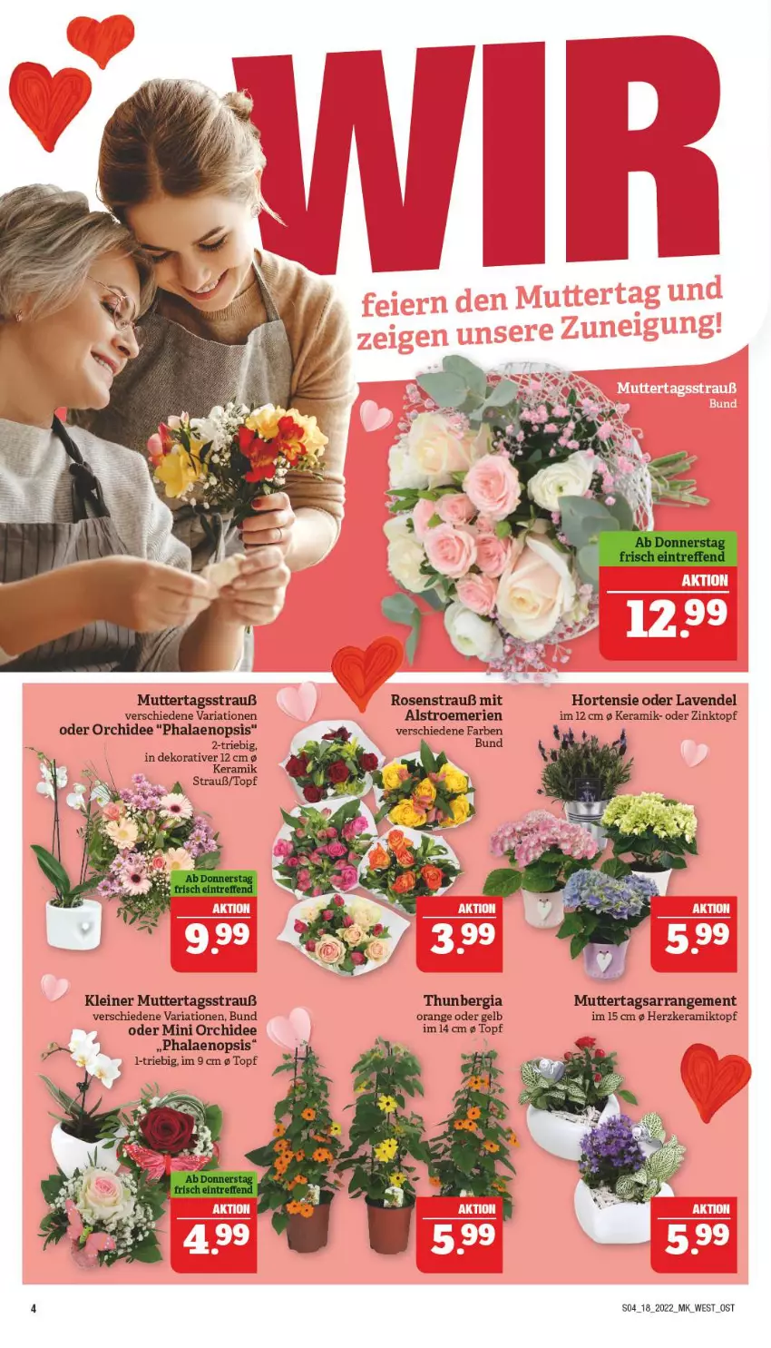 Aktueller Prospekt Marktkauf - Prospekt - von 01.05 bis 07.05.2022 - strona 4 - produkty: hortensie, lavendel, leine, orange, orchidee, phalaenopsis, Ria, rosen, Rosenstrauß, Ti, topf