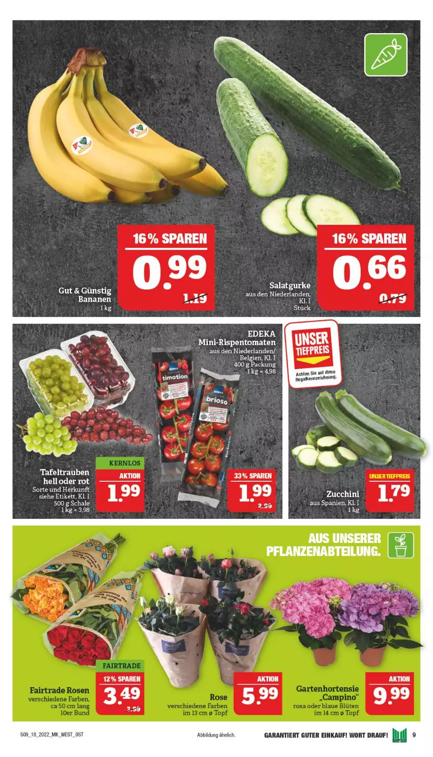 Aktueller Prospekt Marktkauf - Prospekt - von 01.05 bis 07.05.2022 - strona 9 - produkty: banane, bananen, deka, eis, ente, reis, Schal, Schale, tafeltrauben, Ti, tiefpreis, trauben, zucchini