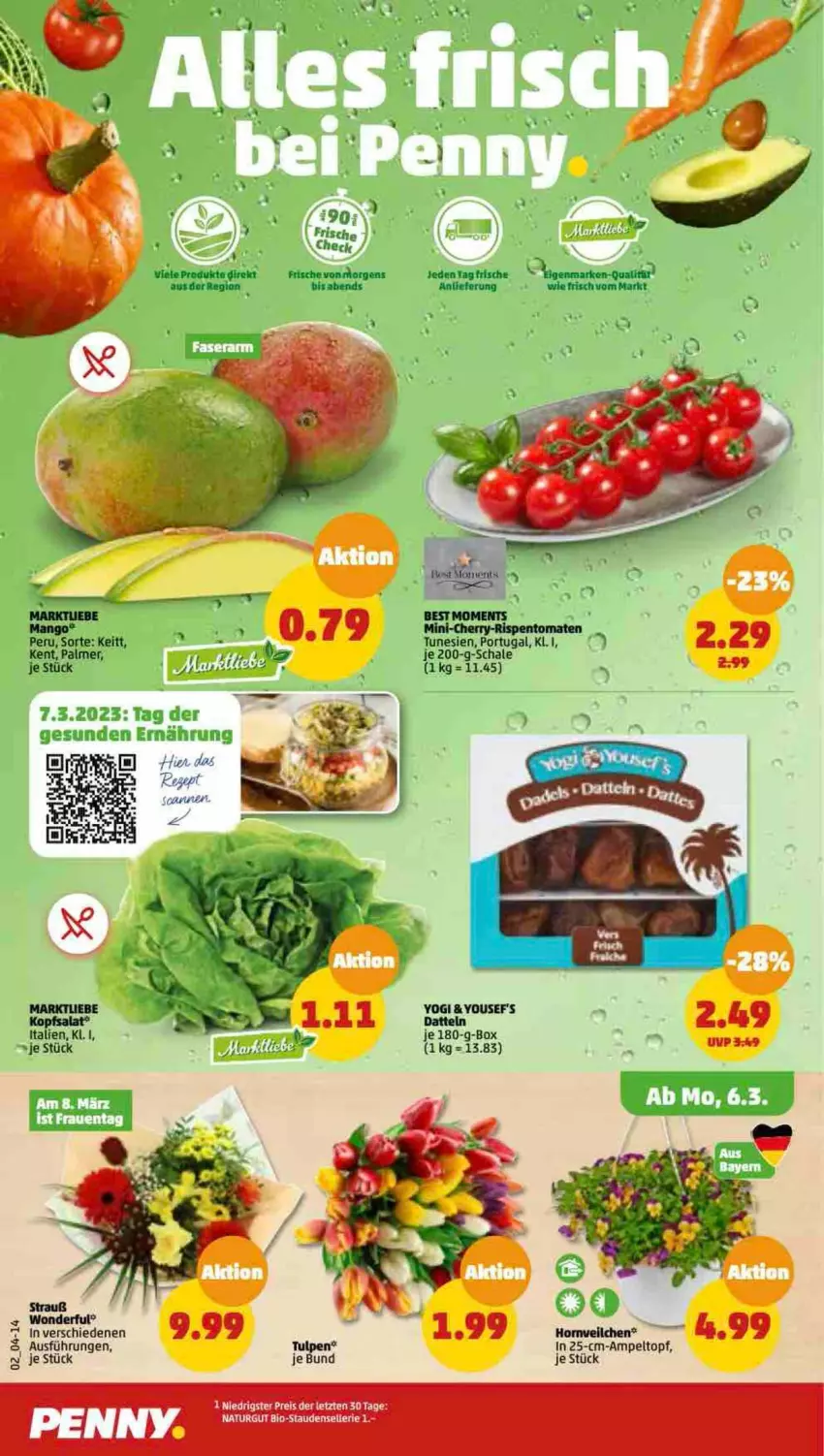 Aktueller Prospekt Penny - Prospekte - von 06.03 bis 11.03.2023 - strona 2 - produkty: bio, Datteln, eis, elle, LG, natur, reis, Schal, Schale, stauden, topf, Yo, ZTE