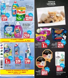 Gazetka promocyjna Aez - Prospekte - Gazetka - ważna od 19.02 do 19.02.2022 - strona 17 - produkty: Bad, beutel, bio, Brei, Cap, coupon, domestos, eis, elle, felix, flasche, gin, katzenfutter, katzensnack, katzensnacks, kraft, persil, persil waschmittel, purina, Rauch, reiniger, reis, rwe, Schal, Schale, snack, snacks, spee, teller, Ti, Tiere, vernel, waschmittel, wc-gel, weichspüler, whiskas