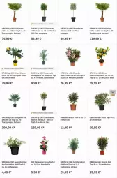 Gazetka promocyjna Obi - Prospekte - Gazetka - ważna od 09.08 do 09.08.2023 - strona 7 - produkty: Bau, citrus, dip, olive, oliven, Ti, topf